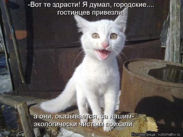 Здрасти прикол