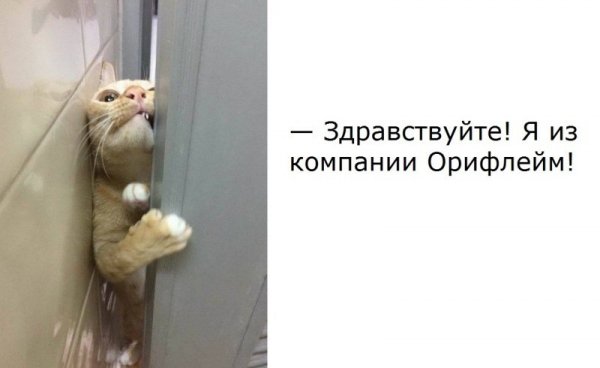 Здравствуйте я из компании Орифлейм