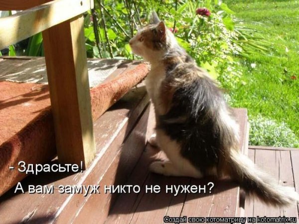 Здрасте а я к вам