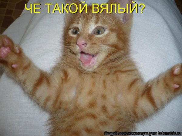 Какие люди картинки