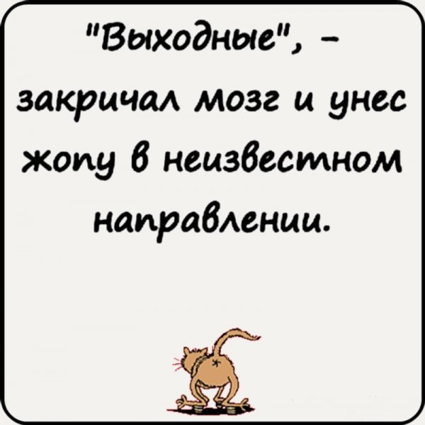 Выходные закричал мозг и унес