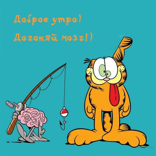 Доброе утро прикольные смешные с надписью