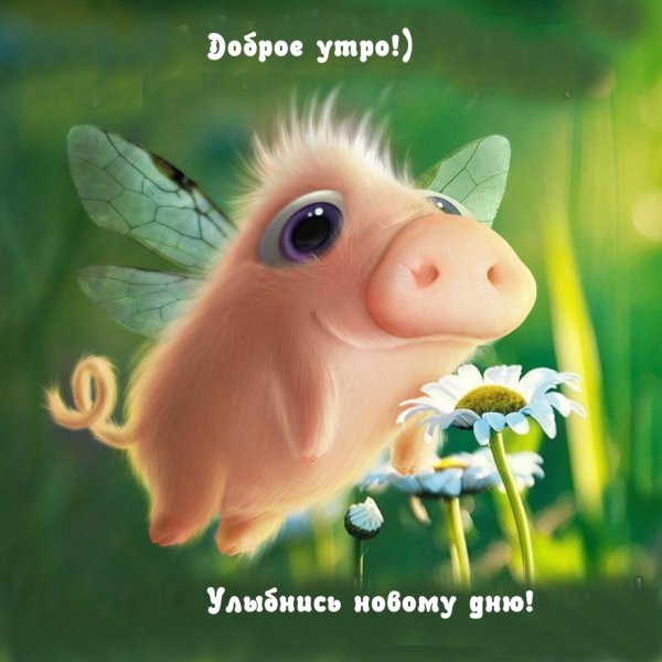 Улыбнемся новому Дню