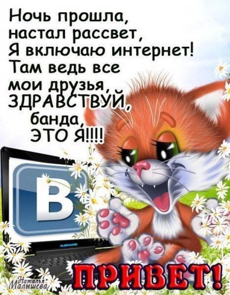 Смешные поздравления с добрым утром