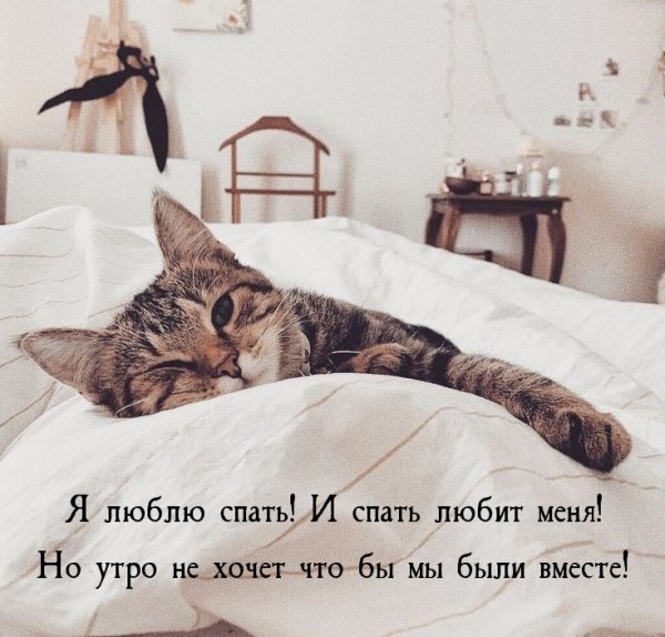 Я проснулась с добрым утром