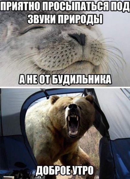 Доброе утро прикол