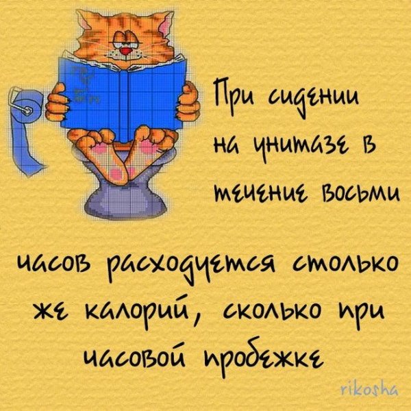 Интересные факты обо всем