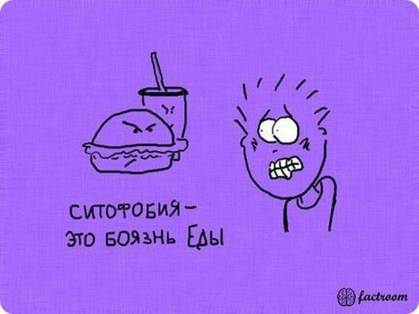 Забавные факты в картинках