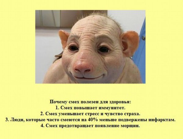 Смешное факты в рисование