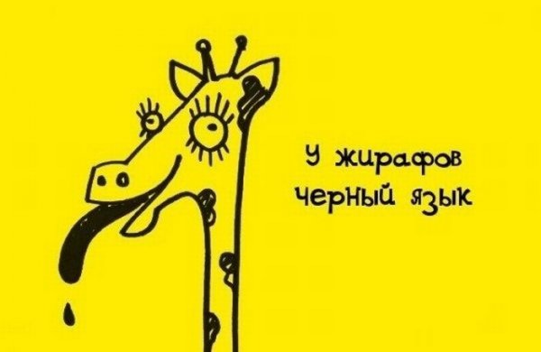 Смешные факты