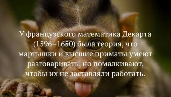 Интересные факты в картинках