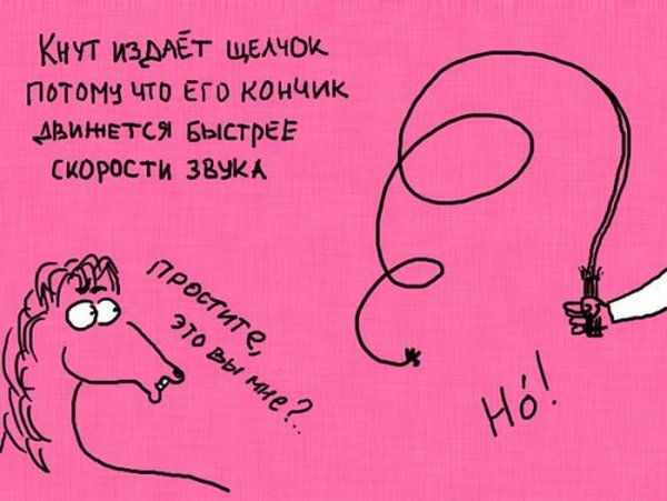 Интересные факты в картинках