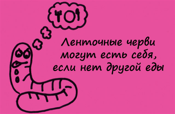 Забавные факты