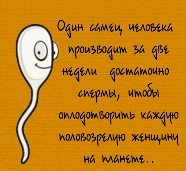 Интересные факты