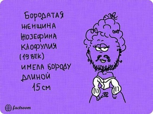 Интересные факты юмор