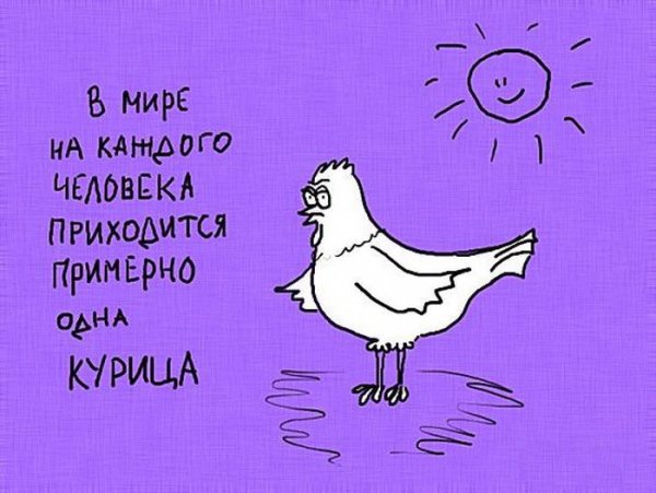 Страшные факты о дельфинах