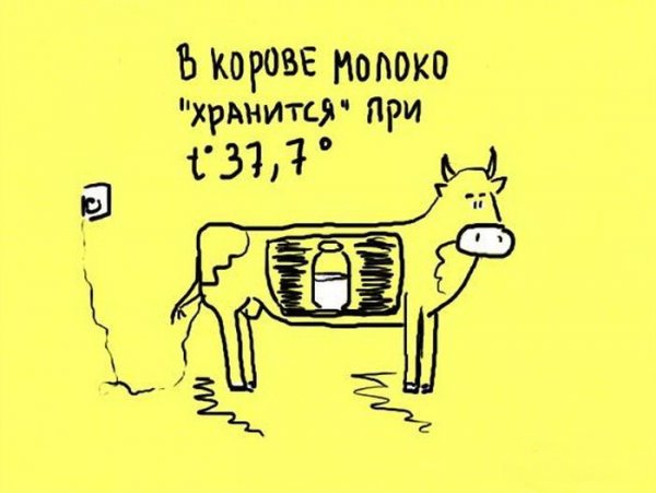 Интересные факты рисунок