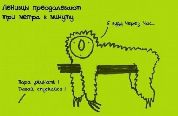 Интересные и необычные факты