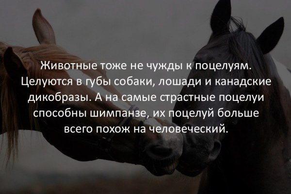 Интересные картинки Познавательные