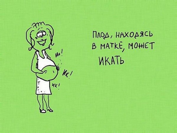 Смешные картинки обо всем