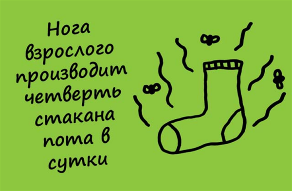 Мемные факты