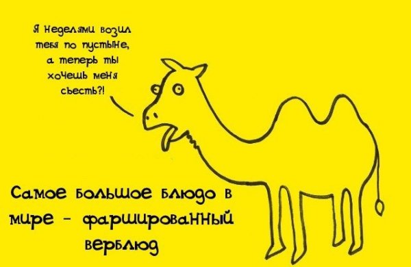 Веселые факты