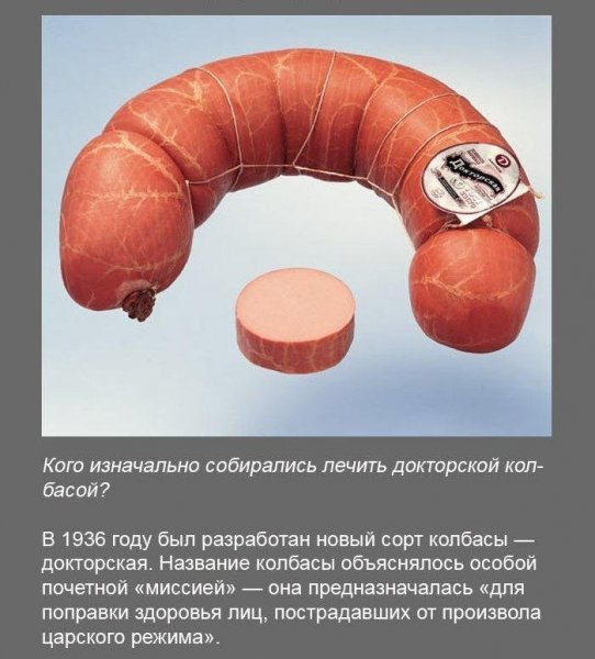 Интересные факты обо всем