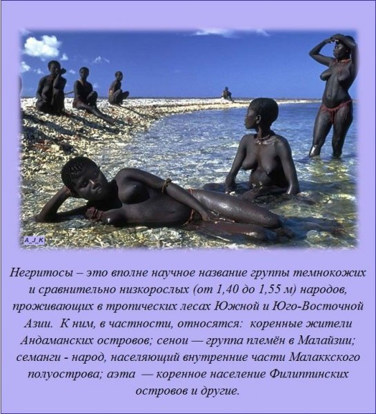 Смешные факты