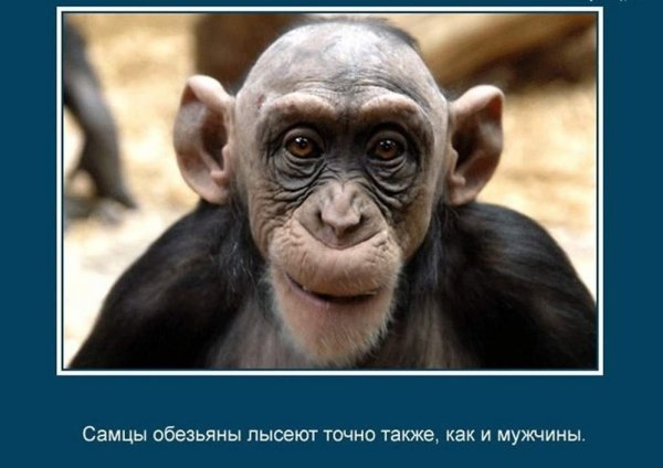 Удивительные и интересные факты