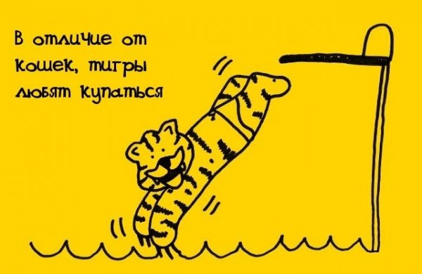 Удивительные факты