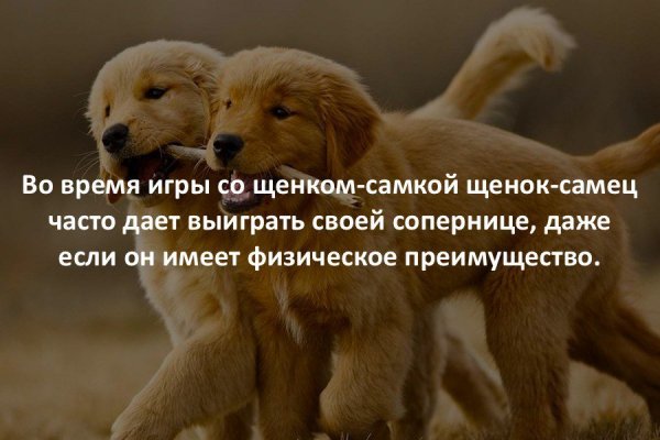 Интересные научные факты в картинках