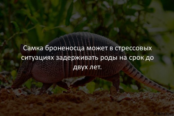 Интересные и смешные факты обо всем