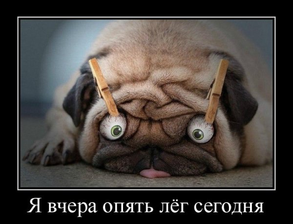 Спать демотиватор