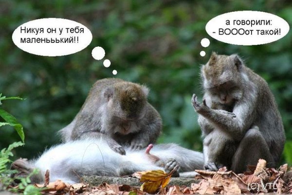 Смешные надписи