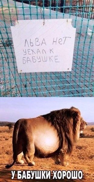 Смешные надписи