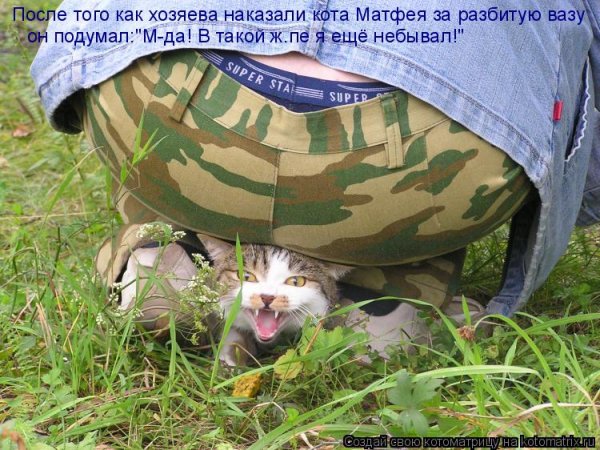 Юмористические надписи