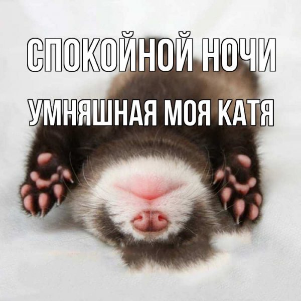 Спокойной ночи прикольные