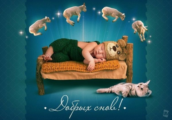 Сладких снов прикольные