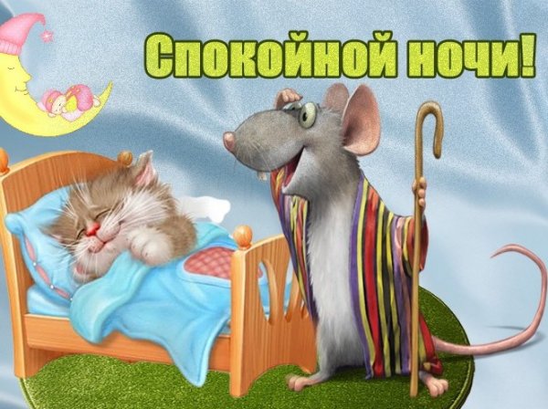 Спокойной ночи прикольные смешные