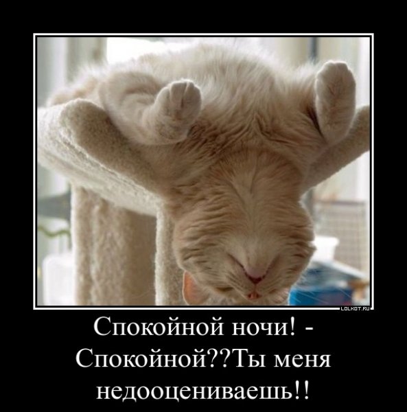 Спокойной ночи прикол
