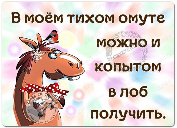 Статусы юмор