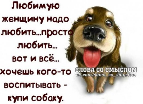 Фразы со смыслом смешные