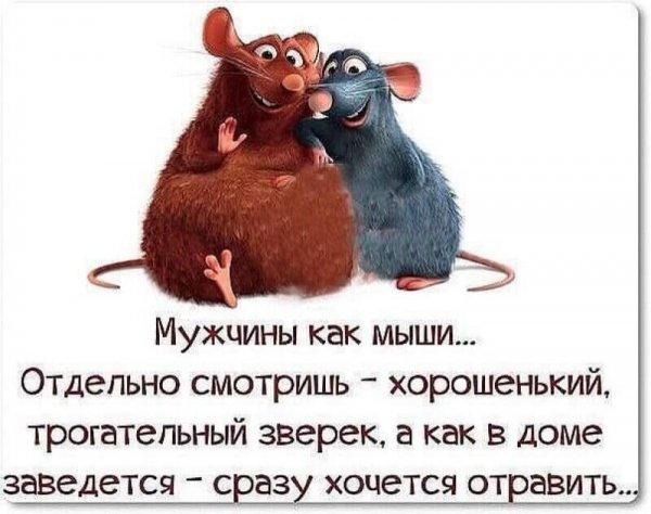 Цитаты со смыслом прикольные