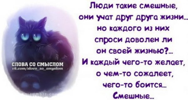 Слова со смыслом про жизнь прикольные