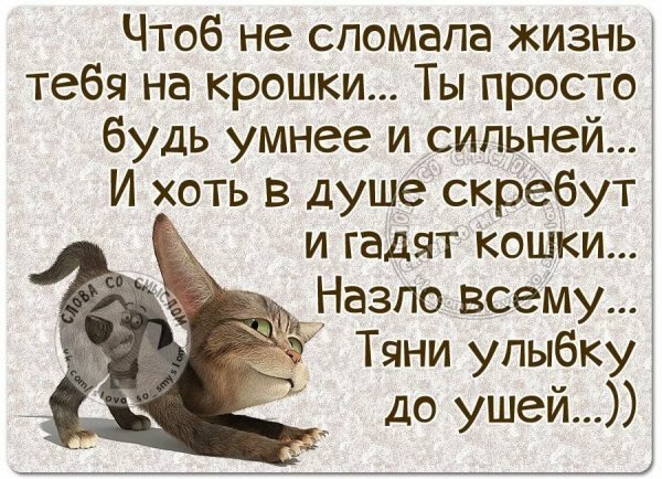 Прикольные статусы про жизнь