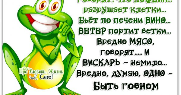 Смешные статусы про любовь