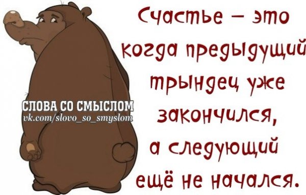 Афоризмы в картинках смешные со смыслом