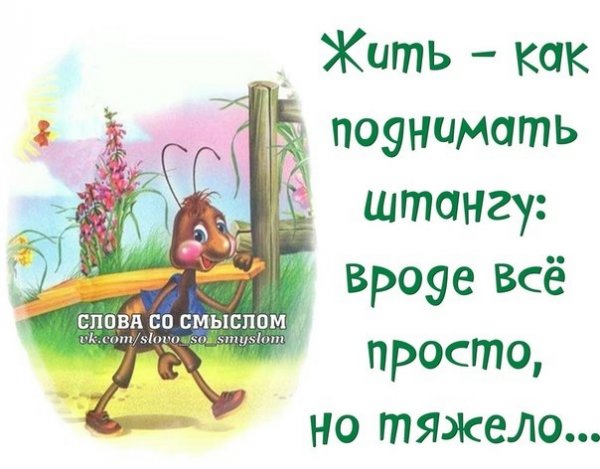 Слова со смыслом в картинках