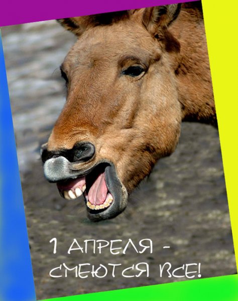 Первое апреля приколы