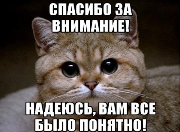 Спасибо за внимание смешные